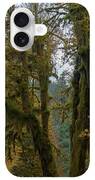 Moss-Covered Forest Trees iPhone Case