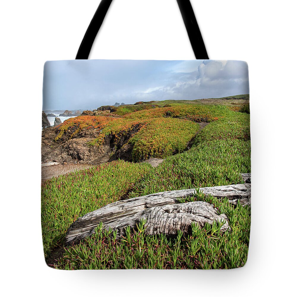 Coastal Landscape with Driftwood Tote Bag