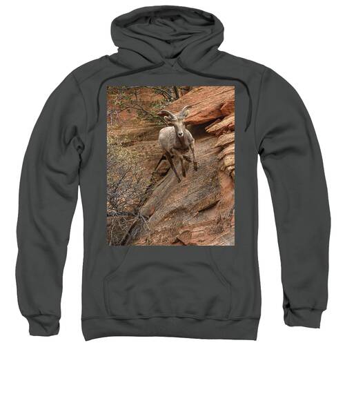 Big Horn Sheep Agile Descent In Zion National Park Sweatshirt