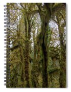 Moss-Covered Trees in a Dense Forest Spiral Notebook