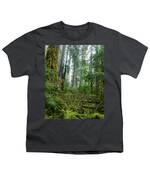 Misty Forest Silhouettes In Olympic National Park Youth T-Shirt