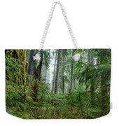 Misty Forest Silhouettes In Olympic National Park Weekender Tote Bag