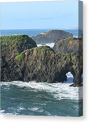 California Canvas Prints