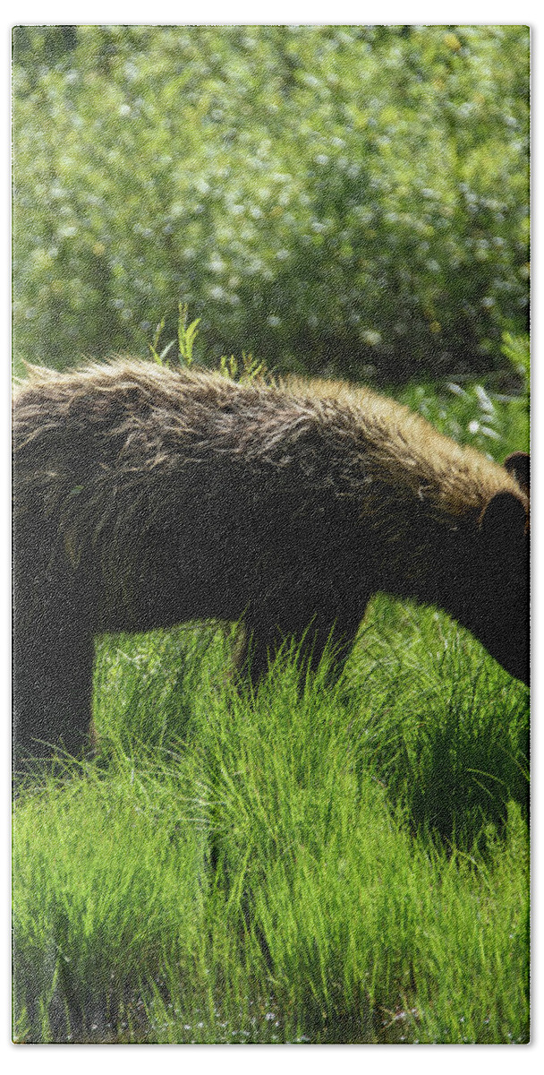 Solitary Bear In Grand Teton National Park Bath Towel