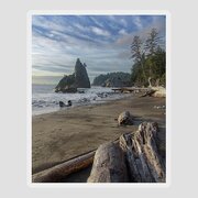 Rugged Coastal Landscape Sticker
