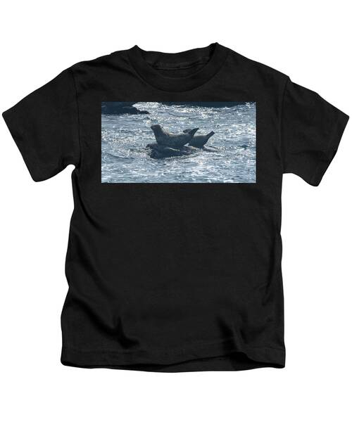 Seals Resting On Rocky Shoreline Kids T-Shirt
