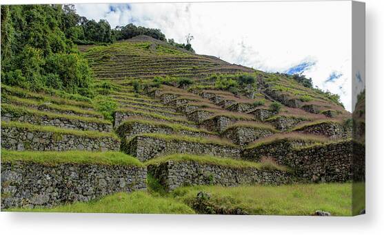 Ancient Terraces Amidst Greenery Canvas Art Print by Brandon Wichmann