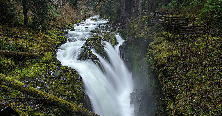 Wall Art featuring the photograph Serene Flow Through Mossy Forest by Brandon Wichmann