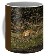 Peaceful Fox in Sunlit Meadow Coffee Mug by Brandon Wichmann