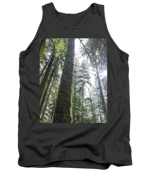Majestic Forest Canopy In Olympic National Park Tank Top