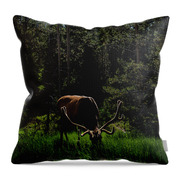 Elk Grazing In A Sunlit Forest In Grand Teton National Park Throw Pillow
