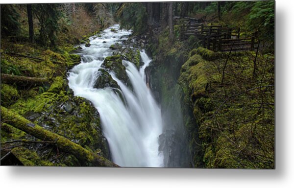 Serene Flow Through Mossy Forest Metal Print