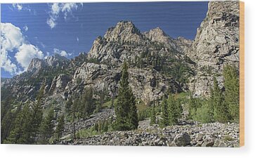 Shop for Wilderness Wood Prints