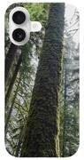 Majestic Forest Canopy In Olympic National Park iPhone Case