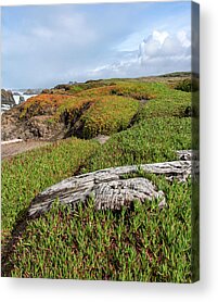 Shop for Serene Acrylic Prints