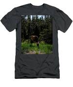 Elk Grazing In A Sunlit Forest In Grand Teton National Park T-Shirt