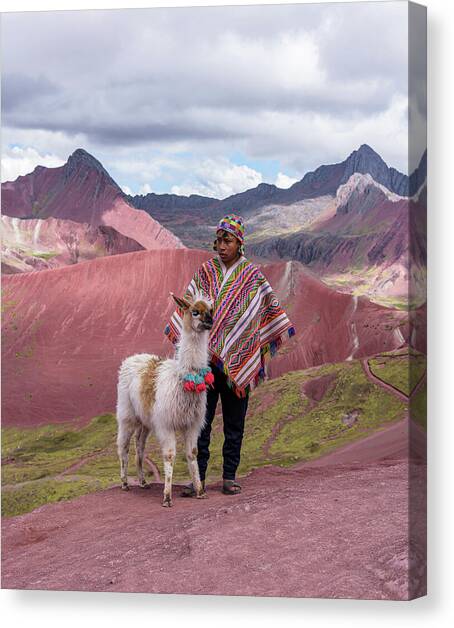 Peruvian Scene with Red Valley and Llama Canvas Art Print by Brandon Wichmann