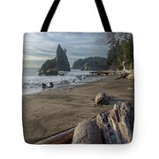 Rugged Coastal Landscape Tote Bag