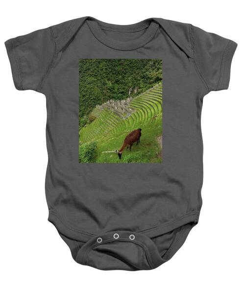 Winay Wayna With Grazing Llama Baby One-Piece