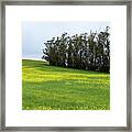 Rolling Hills With Blooming Wildflowers Framed Print