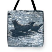 Seals Resting On Rocky Shoreline Tote Bag