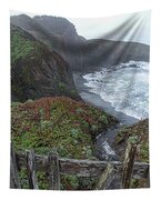 Rocky Coastline With Vibrant Foliage Tapestry