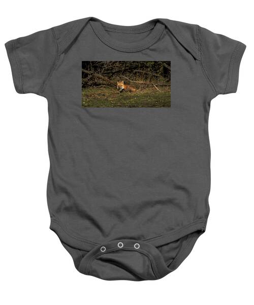 Fox Resting In Sunlit Clearing Baby One-Piece