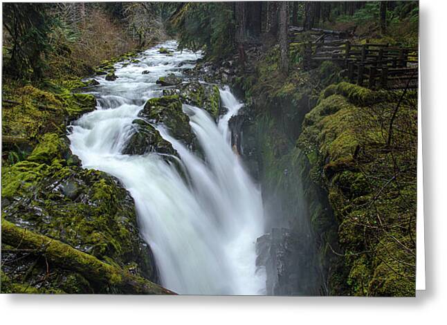 Serene Flow Through Mossy Forest Greeting Card