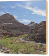 Winding Road Through Desert Canyon Wood Print
