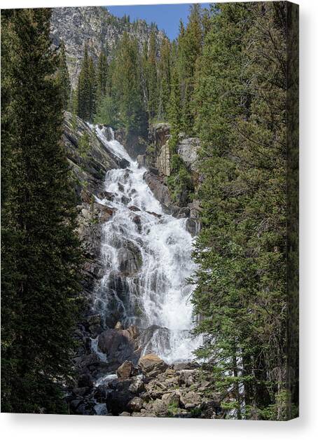 Waterfall Amidst Forest Landscape Canvas Art Print by Brandon Wichmann