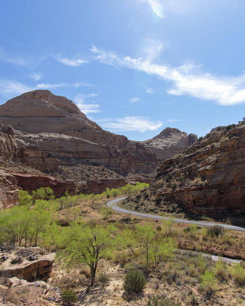 Winding Road Through Desert Canyon Art Print