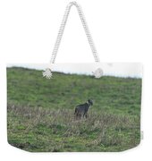 Bobcat in Grassy Field Weekender Tote Bag