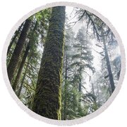 Majestic Forest Canopy In Olympic National Park Round Beach Towel