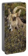 Mountain Goats in Natural Habitat Portable Battery Charger