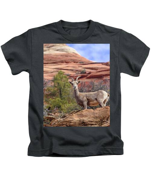 Big Horn Sheep In Zion National Park Kids T-Shirt
