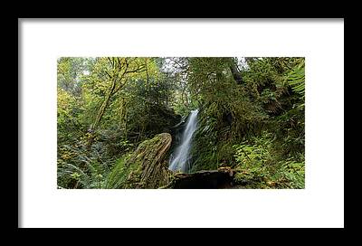 Shop for Tree Framed Prints