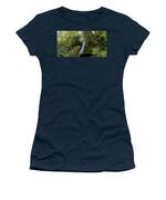Serene Waterfall in Lush Forest Women's T-Shirt