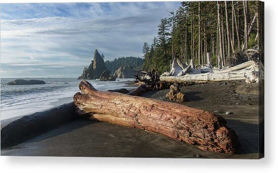 Driftwood on a Pebbled Beach Acrylic Print