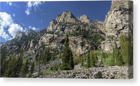Majestic Mountain Peaks Under Blue Sky in Cascade Canyon Canvas Art Print by Brandon Wichmann