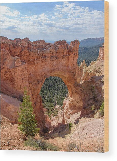 Majestic Natural Rock Arch In Bryce Canyon National Park Wood Print