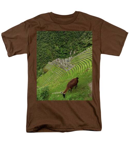 Winay Wayna With Grazing Llama Men's T-Shirt  (Regular Fit)