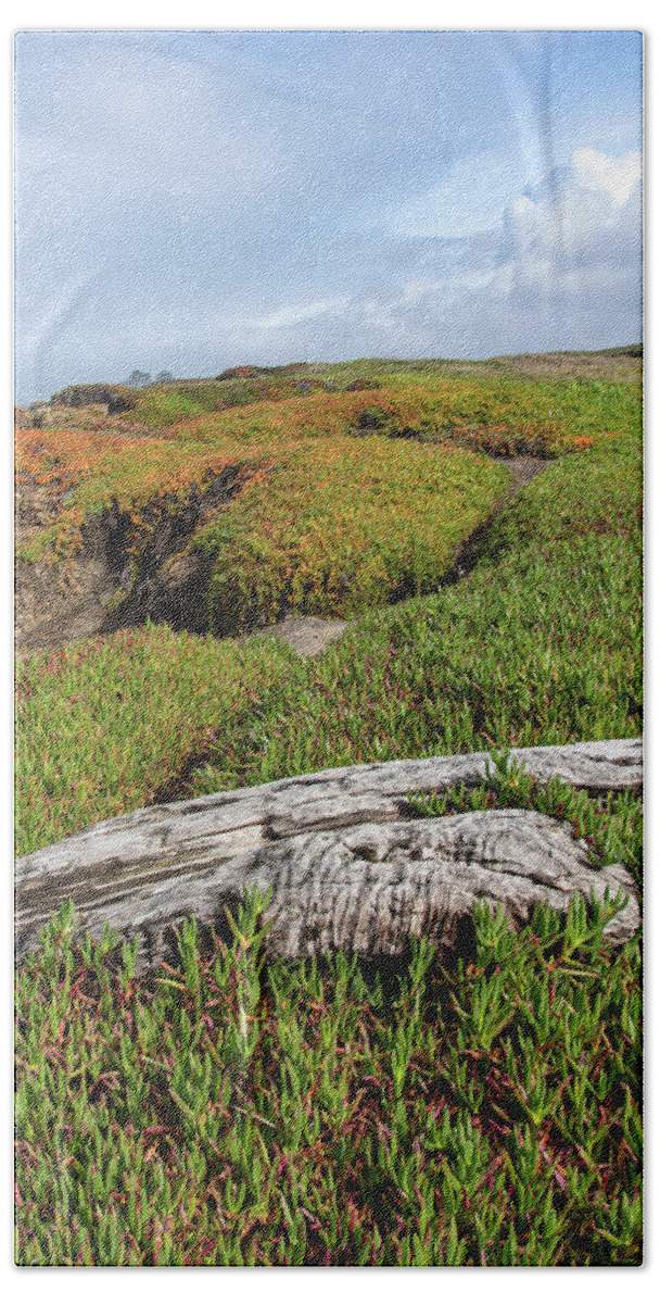 Coastal Landscape with Driftwood Hand Towel