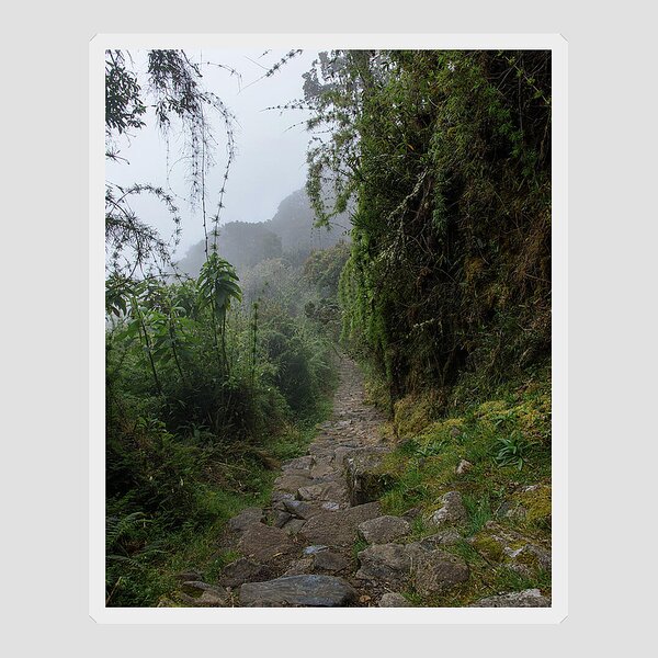 Misty Forest Pathway On The Inca Trail Sticker