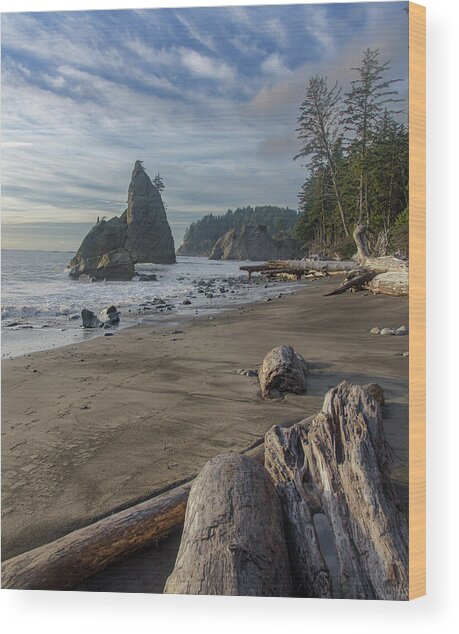 Rugged Coastal Landscape Wood Print