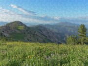 Mountain View with Wildflowers Jigsaw Puzzle