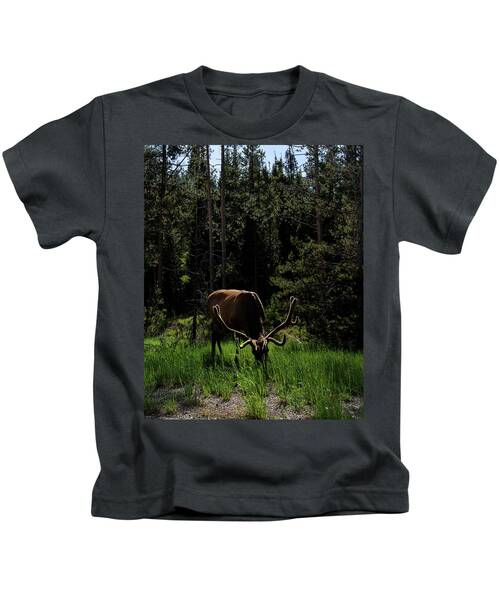 Elk Grazing In A Sunlit Forest In Grand Teton National Park Kids T-Shirt