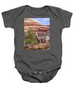 Big Horn Sheep In Zion National Park Baby One-Piece