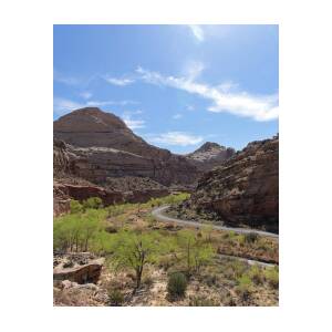 Winding Road Through Desert Canyon by Brandon Wichmann