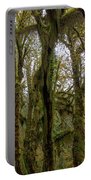 Moss-Covered Trees in a Dense Forest Portable Battery Charger