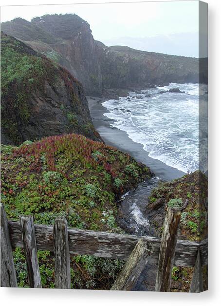 Rocky Coastline with Vibrant Foliage Canvas Art Print by Brandon Wichmann